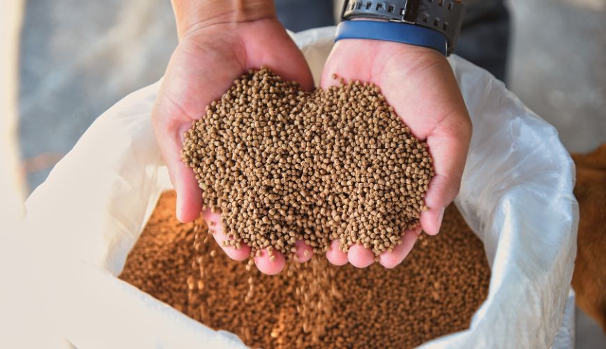 Aquaculture Feed Market