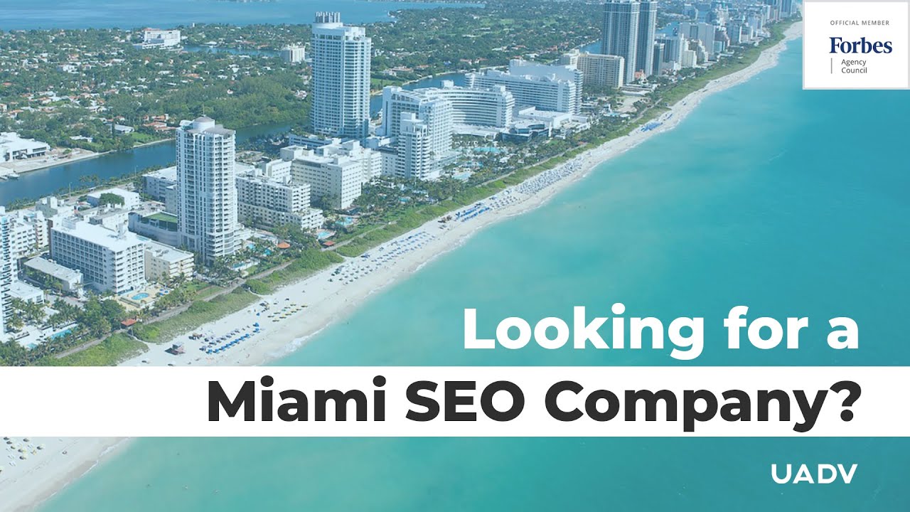 seo agency in miami