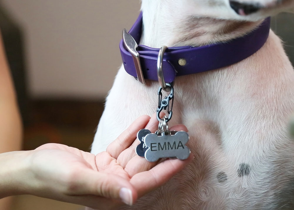 The Ultimate Guide to Pet ID Tags for Dogs: Secure, Durable, and Personalized