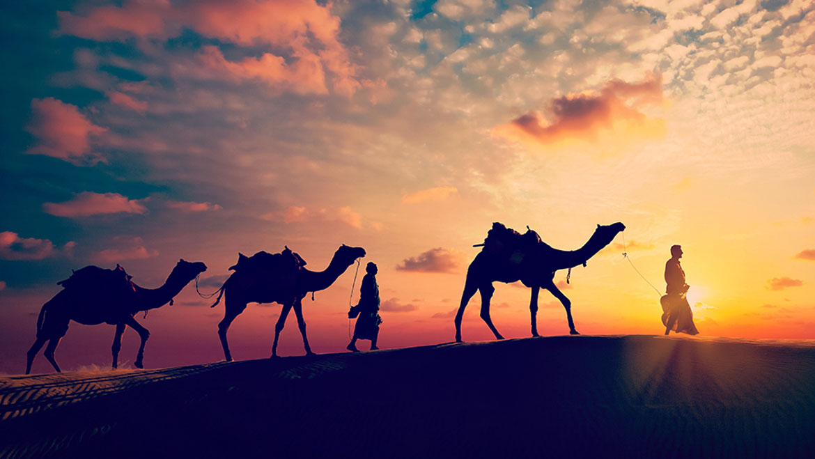 6 Day Tour Packages In Rajasthan
