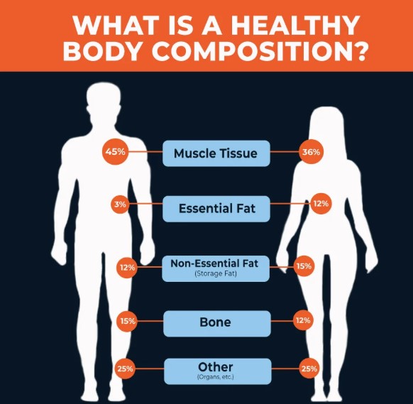 lean mass vs fat calculator